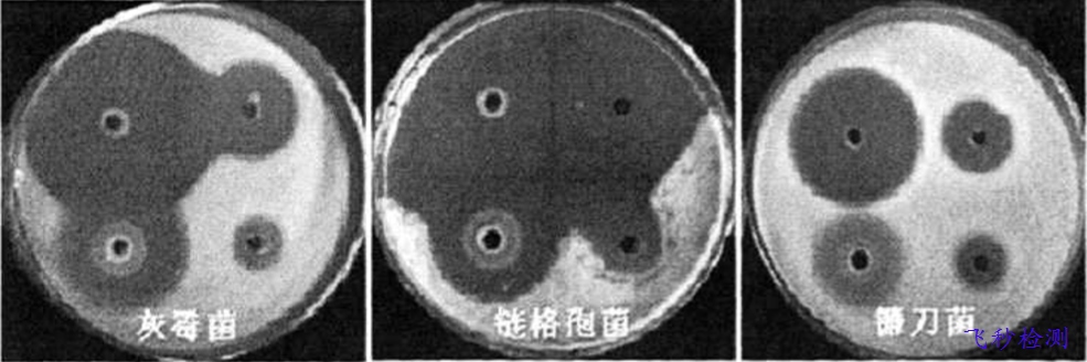 消毒液成分分析檢測